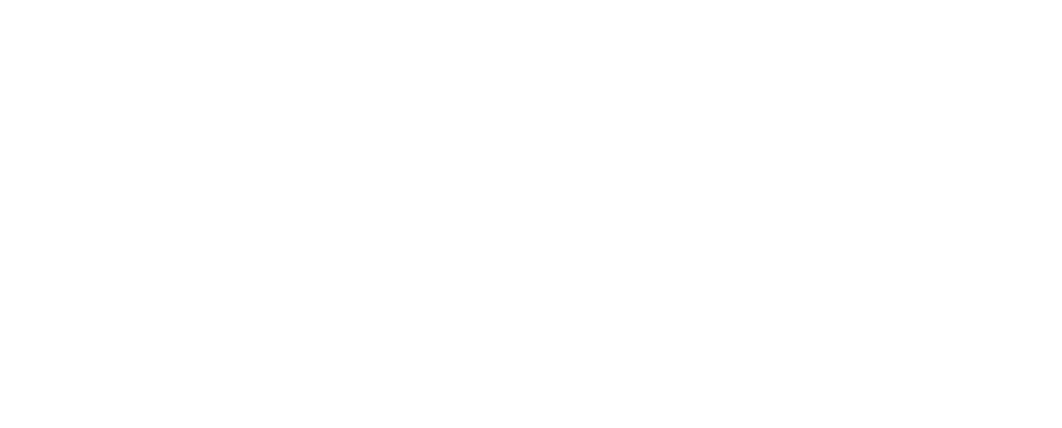 Photo Montrant Logo Maelis 2022 Nexcommunication