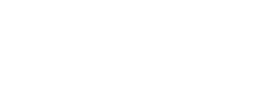 Photo Montrant Logo Maelis 2022 Nexcommunication