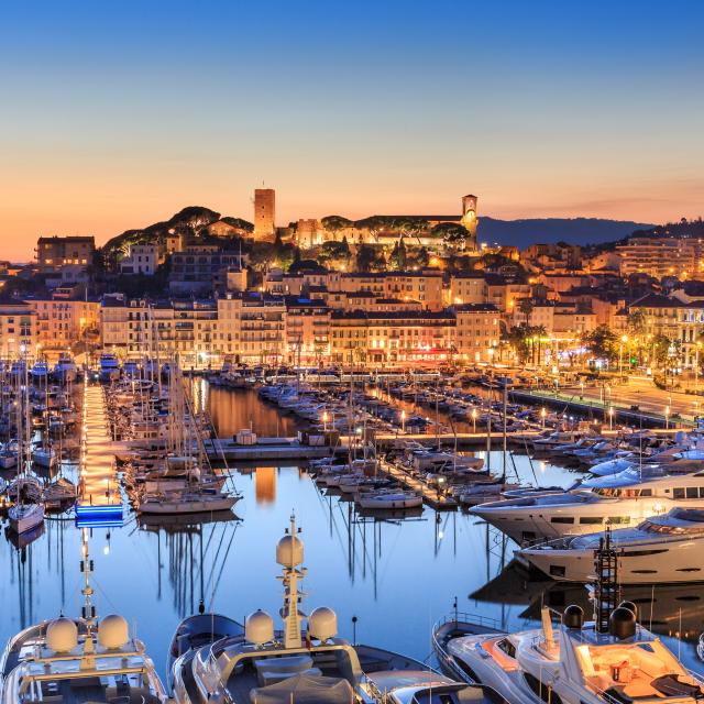 Photo de Agence Seo Cannes